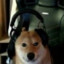 Doge_gamer11