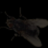 asdf