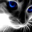 NiceCat