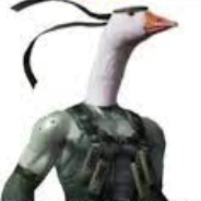Lieutenant goose