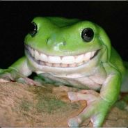 Bice Corven's Avatar