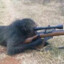 Sniper Monkey