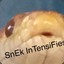 de_snek