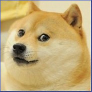 Doge's Avatar