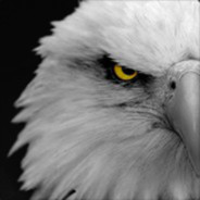 Eagle_Eye