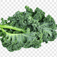 Kale - steam id 76561197969479115