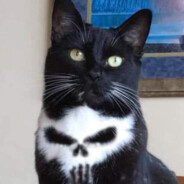 Who's your daddy?'s Avatar