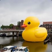 AmaZ - steam id 76561197962244241