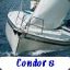 Condor8