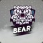 Bear5345