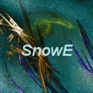 SnowE