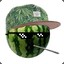 Watermelon(MLG)