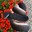 Group Avatar