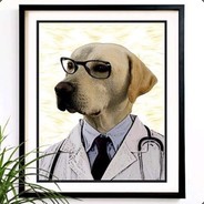 Señor Doc Doggo