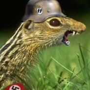 TIMON