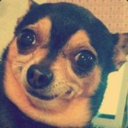 Saster  OFERTU.CO's Avatar