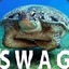 Swagturtle