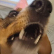 BananaBurrito's Avatar