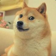 Dogeeeeee