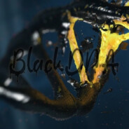 BlackDNA®