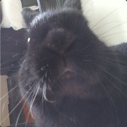 Wyr's Avatar