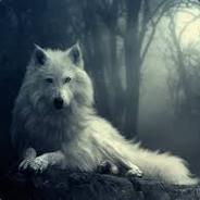 WolfTeam society.gg