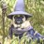 Pug The Wizard