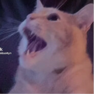 Gargamoonstr's Avatar