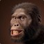 Australopithecus