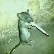 rat defense
