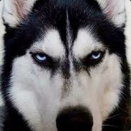 UglyHusky