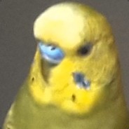 Mct