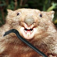 WildWombat