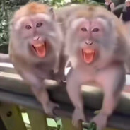 西八里耶！'s Avatar