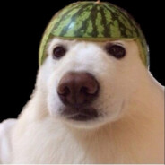 zaio
