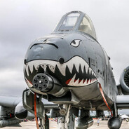 ALBRRRRRRRRRRRRRT