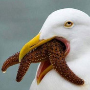 ™