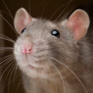 ?RanalApe/ggSuker/S.A.I.F.A.M