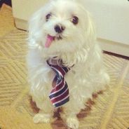Variable - steam id 76561197960414360