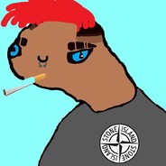 BNOPT