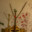 Group Avatar
