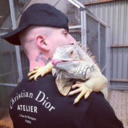 LX ∩ (◣_◢) ∩ 187