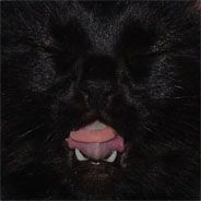 sry - steam id 76561197960515921