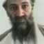 Osama bin ballin