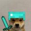 avatar for communist doggo