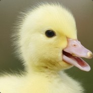 Duck King avatar