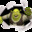 Group Avatar