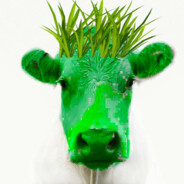 EARTH COW