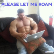 Sander