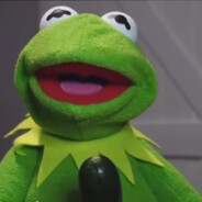 Dr Kermit's ass